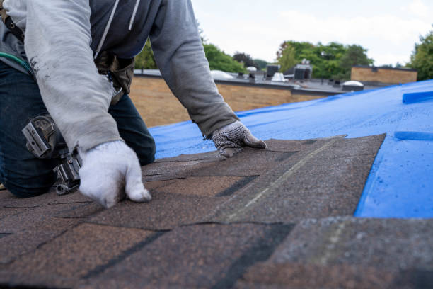 Best Sealant for Roof  in Owings, MD