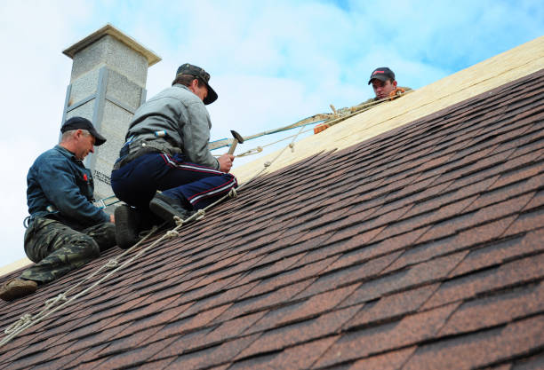 Best Storm Damage Roof Repair  in Owings, MD